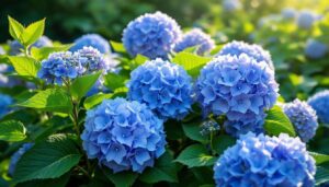 Das sind die 3 schlimmsten Patzer beim Hortensienschnitt